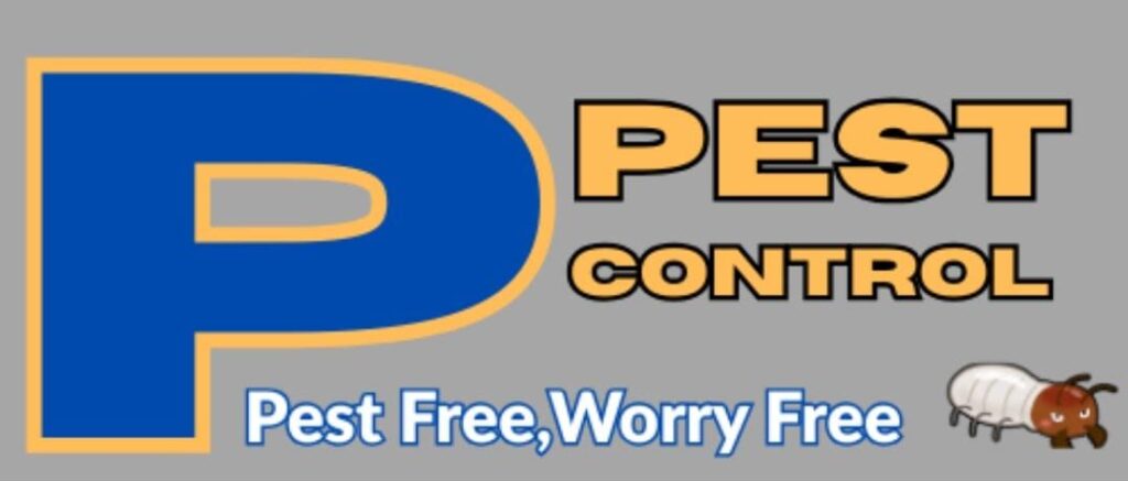 whatsapp image 2026 01 24 at 5.34.20 pm